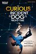 The Curious Incident of the Dog in the Night-Time