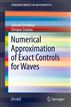 On the Numerical Approximations of Exact Controls for Waves