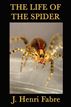 The Life of the Spider
