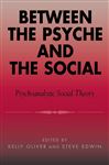 ISBN 9780742513082 product image for Between the Psyche and the Social | upcitemdb.com