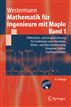 Mathematik für Ingenieure mit Maple.