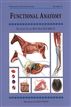 FUNCTIONAL ANATOMY