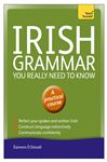 Irish Grammar You Really Need To Know: Teach Yourself