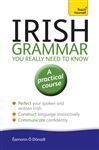 Irish Grammar You Really Need To Know