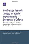 Developing a Research Strategy for Suicide Prevention in the