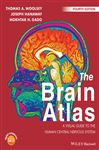 The Brain Atlas