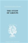 The Study of Groups - Klein, Josephine