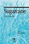 Sugarcane - James, Glyn