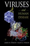 Viruses and Human Disease - Strauss, Ellen G.; Strauss, James H.