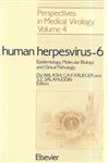 Human Herpesvirus 6: Epidemiology, Molecular Biology and Clinical Pathology: Epidemiology, Molecular Biology and Clinical Pathology - Conference ... (Perspectives in Medical Virology, Band 4)