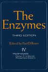 The Enzymes - AUTHOR, UNKNOWN