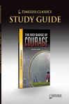 The Red Badge of Courage Novel Study Guide - Saddleback Educational Publishing