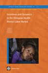 Incentives and Dynamics in the Ethiopian Health Worker Labor Market - The World Bank
