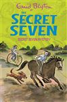 Secret Seven Mystery: Book 9 (English Edition)