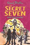 Secret Seven: Secret Seven Fireworks: Book 11