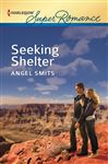 Seeking Shelter - Smits, Angel