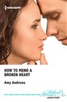 How To Mend A Broken Heart - Andrews, Amy