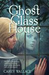 The Ghost in the Glass House - Wallace, Carey