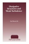 Dissipative Structure & Weak Turbulence - Manneville, Paul