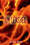 Unleashed: An Unremembered Novella Jessica Brody Author