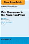 Pain Management in the Postpartum Period, An Issue of Clinics in Perinatology, E-Book - Flick, Randall P.; Hebl, James R.