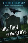 One Foot In The Grave by Peter Dickinson Paperback | Indigo Chapters