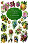 Old-Time Fruits and Flowers Vignettes in Full Color - Grafton, Carol Belanger