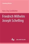 Sammlung Metzler, Bd.87, Friedrich Wilhelm Joseph Schelling