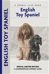 English Toy Spaniel - Devon, Chelsea